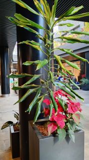 GC-Shopping Mogan Mall 2026-034.jpg